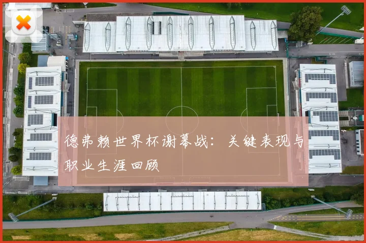 德弗赖世界杯谢幕战：关键表现与职业生涯回顾